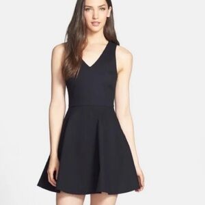 Joie Norton Fit and Flare V-Neck Mini Dress